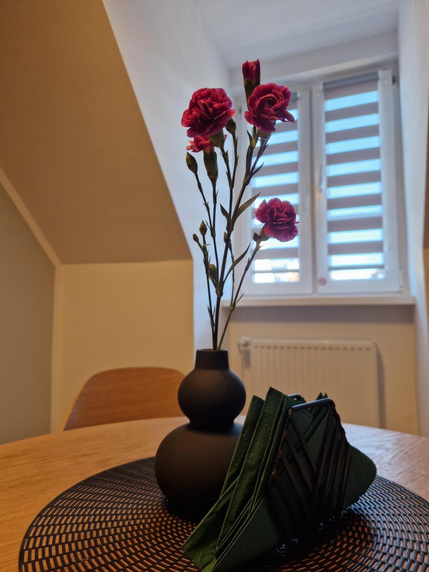 Rabianska 14 Apartment